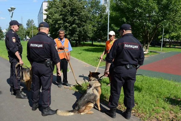 Police officers patrol the streets with dogs. — Stock Photo, Image