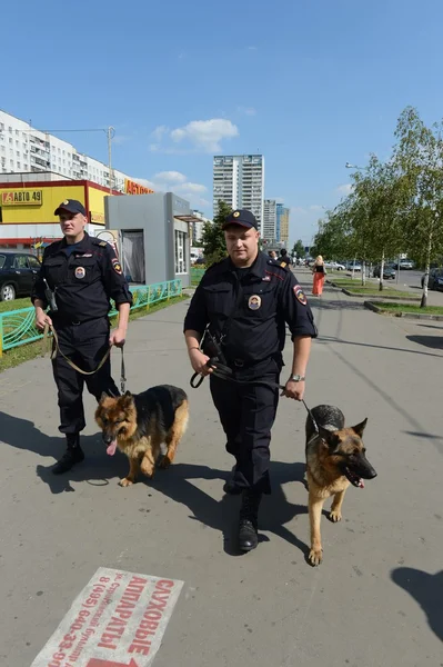 Police officers patrol the streets with dogs. — Stock Photo, Image