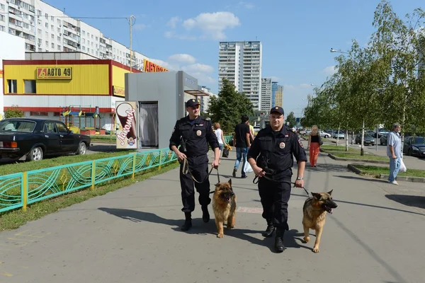 Poliser patrullerar gatorna med hundar. — Stockfoto