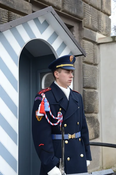 La guardia d'onore custodisce il palazzo presidenziale nel castello di Praga . — Foto Stock