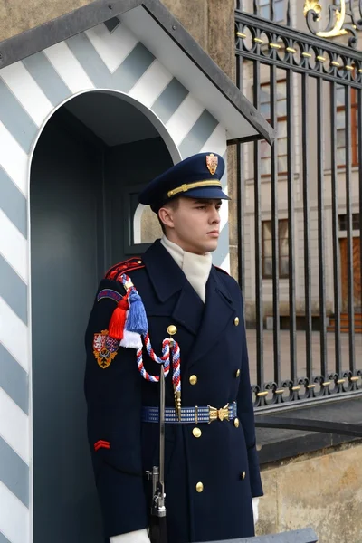 Čestnou stráž chrání v prezidentském paláci na Pražském hradě. — Stock fotografie