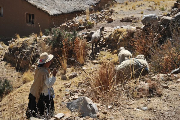 Gold Digger Shows Tourists Alluvial Gold Sand Mined in the Mine on