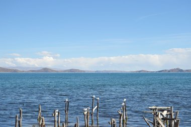 dağ Titikaka Gölü