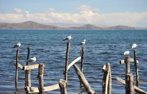 Lago di montagna Titicaca — Foto Stock