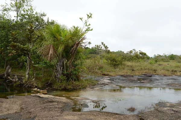 Surrounding the river Guayabero. Colombia — Stock Photo, Image