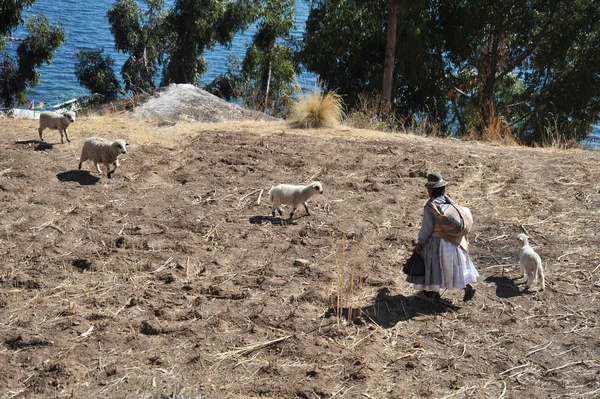 Wyspa księżyca znajduje się na jeziorze Titicaca. — Zdjęcie stockowe