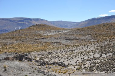 Altiplano. Bolivya