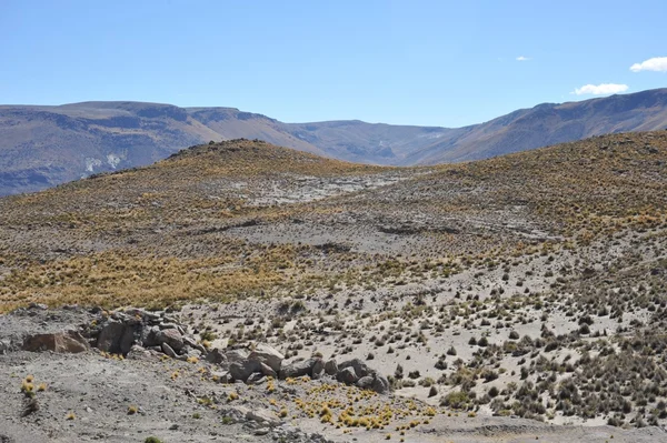 Altiplano. Republikken Bolivia - Stock-foto
