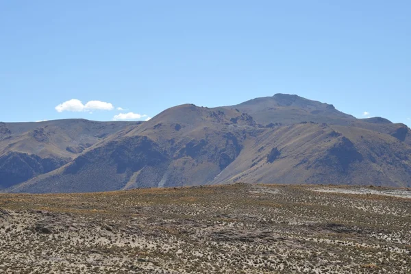 Altiplano. Bolivia —  Fotos de Stock