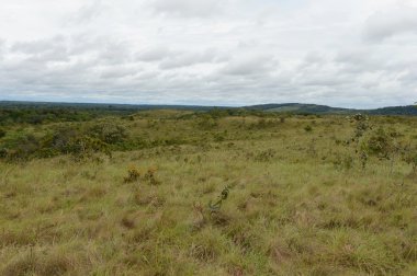 Kolombiya Doğu bölgeleri