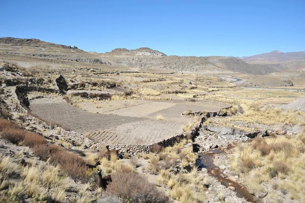Das Altiplano. Bolivien — Stockfoto