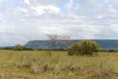 Kolombiya Doğu bölgeleri