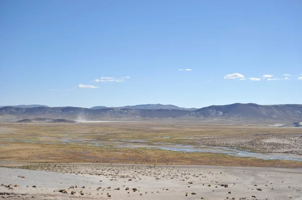 Altiplano. Bolivia — Stockfoto