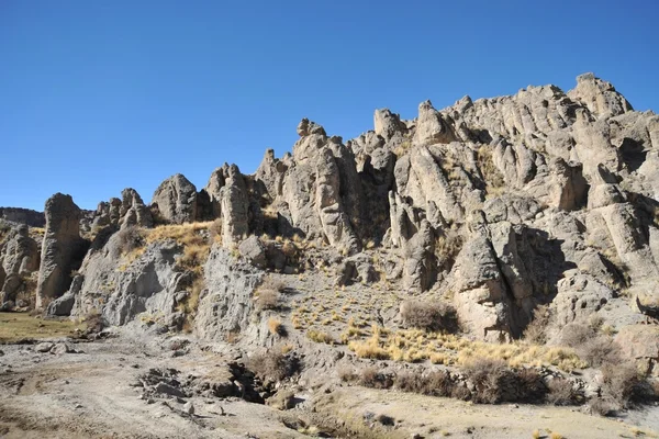 Altiplano. Bolivia — Stock Photo, Image