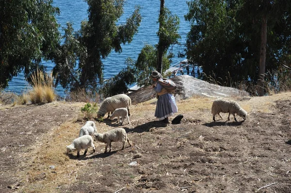 Isla de la Luna se encuentra en el lago Titicaca —  Fotos de Stock