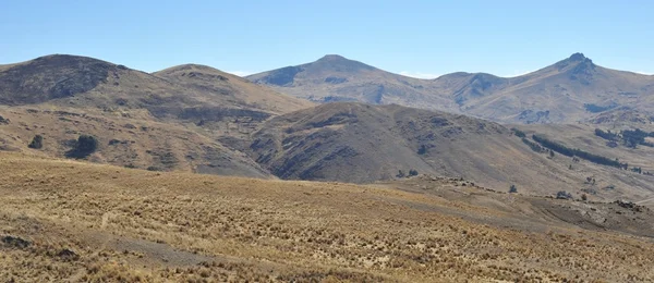 Altiplano. Bolivia — Foto de Stock