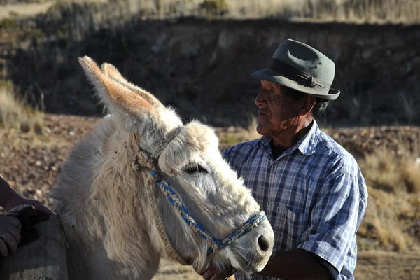 L'uomo boliviano nel vasto Altiplano — Foto Stock