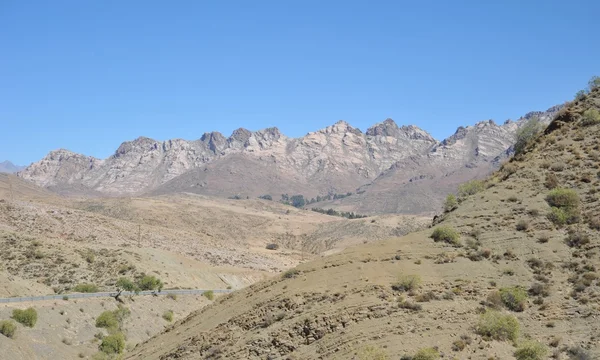 Altiplano. Bolivien — Stockfoto