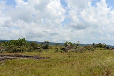Nehrin Guayabero çevreleyen