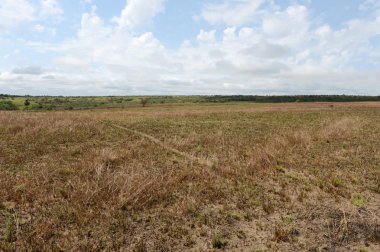 Nehrin Guayabero çevreleyen