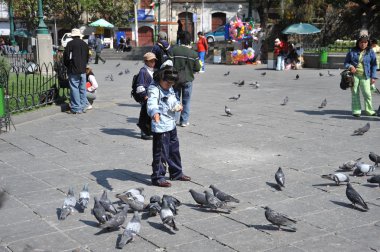 La Paz Murillo alanı