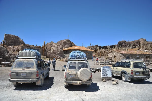 Isla Inca Wasi - isla de cactus —  Fotos de Stock