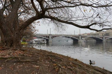 Prag. Vltava Nehri
