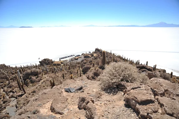 Island inca wasi - Kakteeninsel — Stockfoto