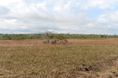 Meta bölümü manzarada.