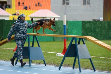 Moskova'da köpeklerle Cynologists.