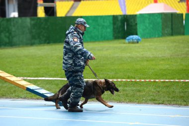 Moskova'da köpeklerle Cynologists.