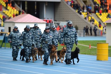Moskova'da köpeklerle Cynologists.