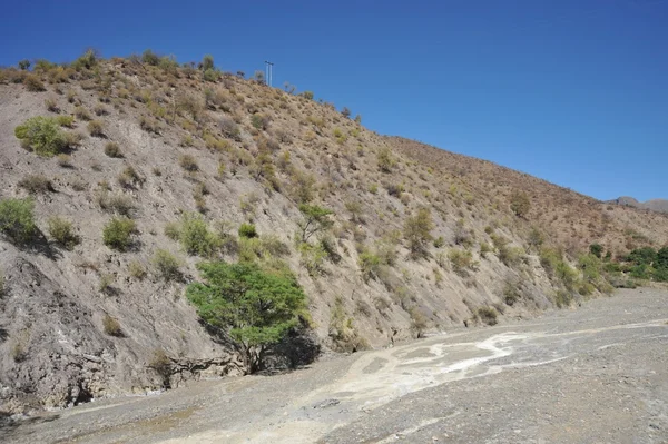 Altiplano. Bolivien — Stockfoto