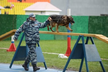 Moskova'da köpeklerle Cynologists.