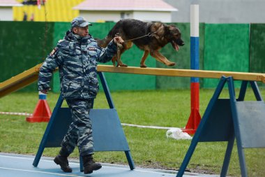 Moskova'da köpeklerle Cynologists.
