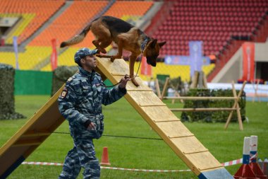 Moskova'da köpeklerle Cynologists.