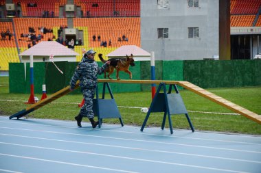 Moskova'da köpeklerle Cynologists.