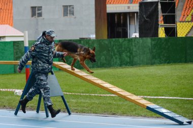 Moskova'da köpeklerle Cynologists.