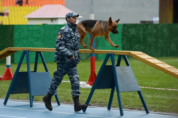 Cynologists com cães em Moscú . — Fotografia de Stock