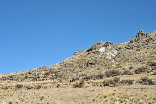 Altiplano. Bolívie — Stock fotografie