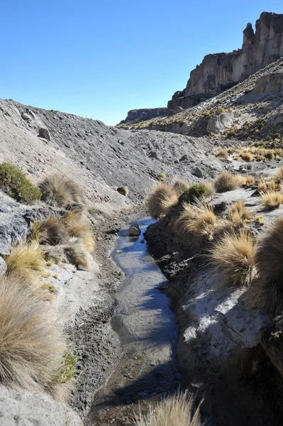 Altiplano. Bolivien — Stockfoto
