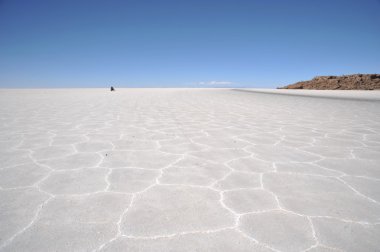 Uyuni tuz daireler