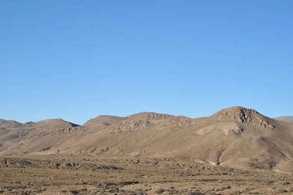 Altiplano. Bolivia — Stockfoto