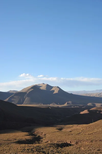 Altiplano. Bolivia — Stock Photo, Image