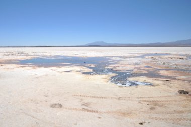 Uyuni tuz daireler