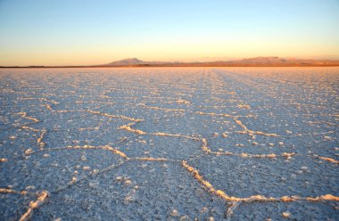 Uyuni tuz daireler