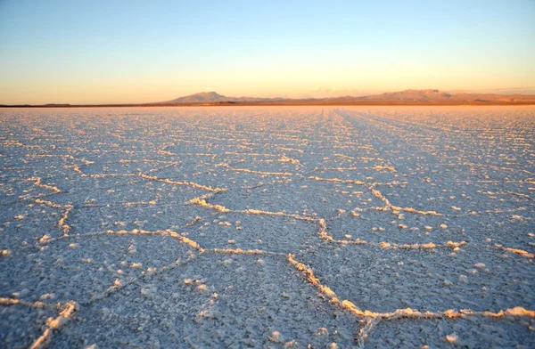 The Uyuni salt flats — Stock Photo, Image