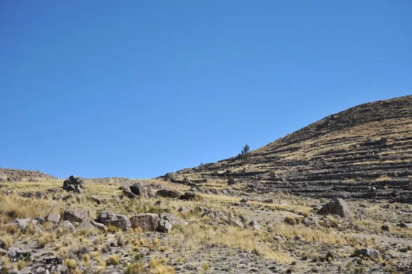 Altiplano. Bolívie — Stock fotografie