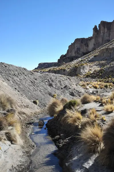 Altiplano. Bolívie — Stock fotografie