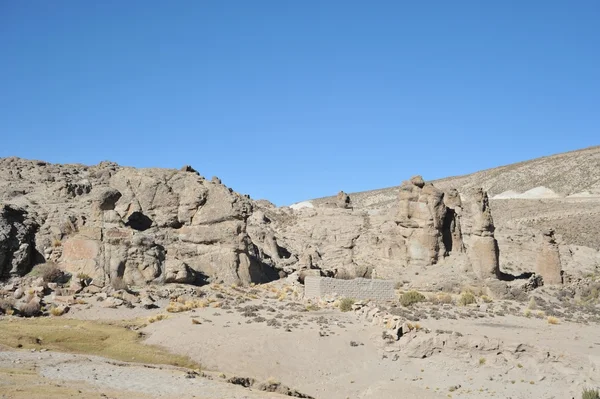 Altiplano. Bolivia — Foto de Stock